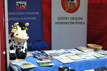 Zjazd Zarządu Głównego Stowarzyszenia Muzealników Polskich w Wieluniu